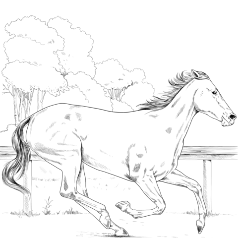 Thoroughbred Horse Coloring Page